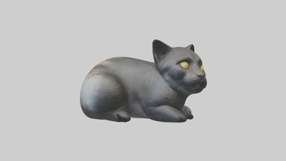 Iriomote Cat resting model VR / AR / low-poly