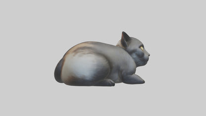 Iriomote Cat resting model VR / AR / low-poly