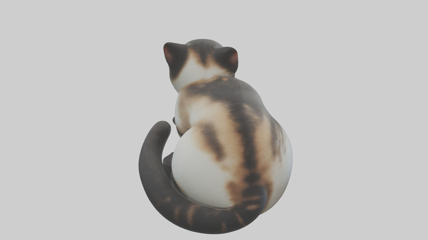 Iriomote Cat resting model VR / AR / low-poly