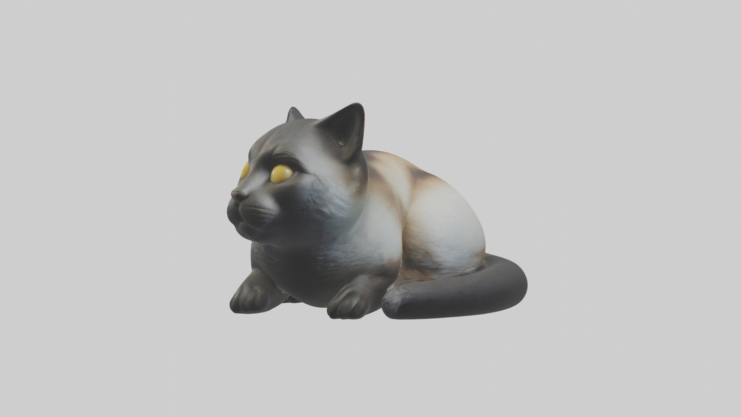 Iriomote Cat resting model VR / AR / low-poly