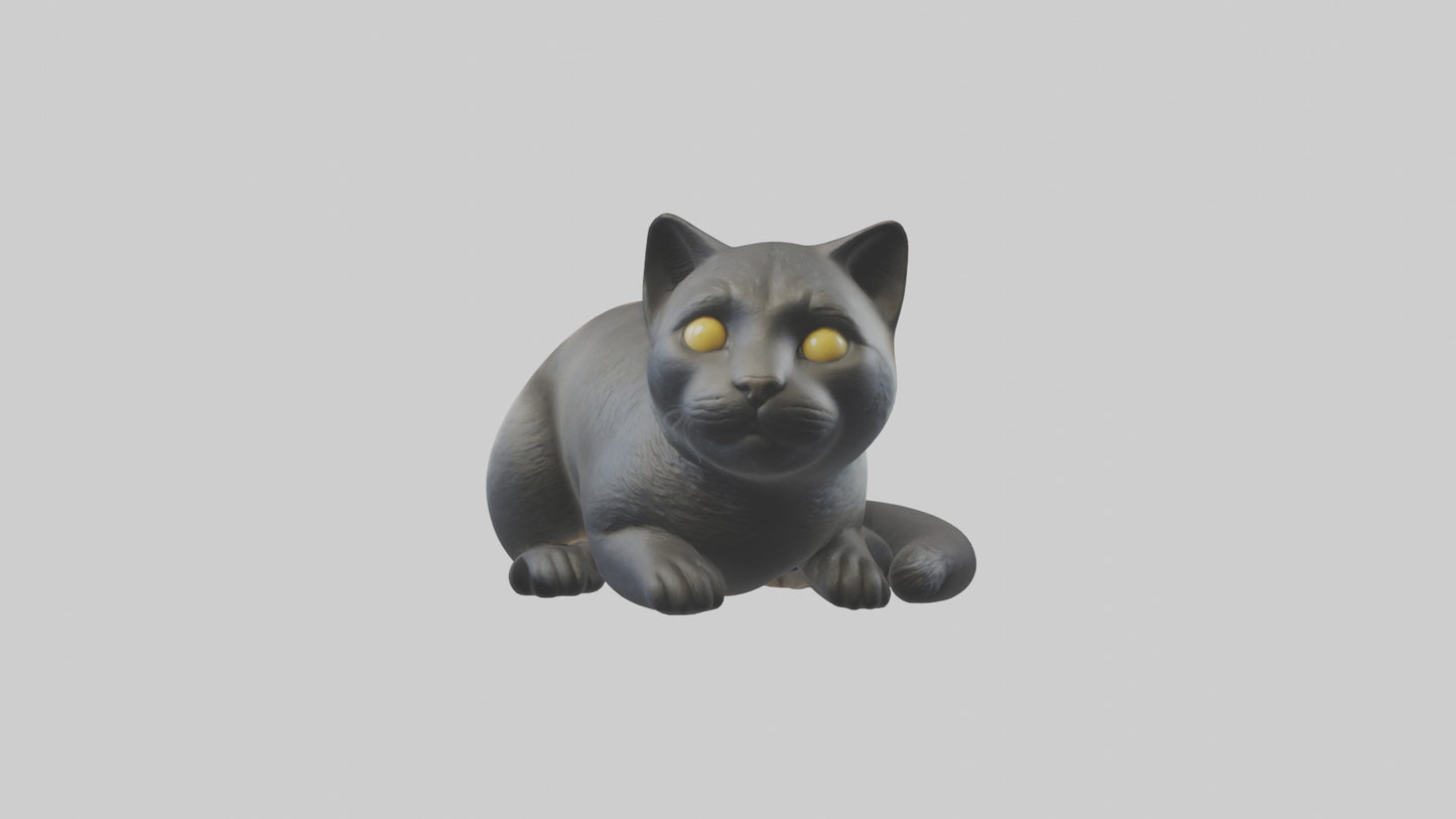 Iriomote Cat resting model VR / AR / low-poly
