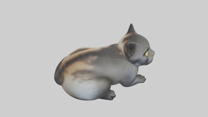 Iriomote Cat resting model VR / AR / low-poly