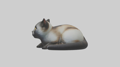 Iriomote Cat resting model VR / AR / low-poly