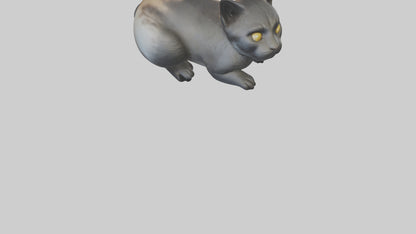 Iriomote Cat resting model VR / AR / low-poly