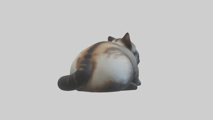 Iriomote Cat resting model VR / AR / low-poly