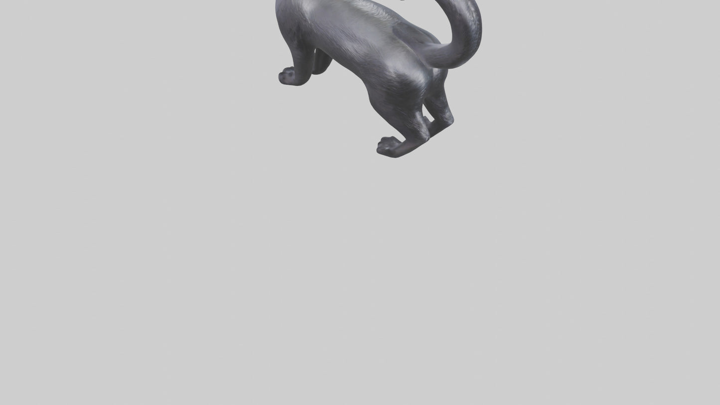 Iriomote Cat statue model 2 VR / AR / low-poly
