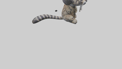 Iriomote Wildcat sitting model VR / AR / low-poly