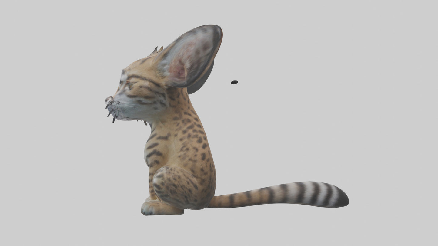 Iriomote Wildcat sitting model VR / AR / low-poly