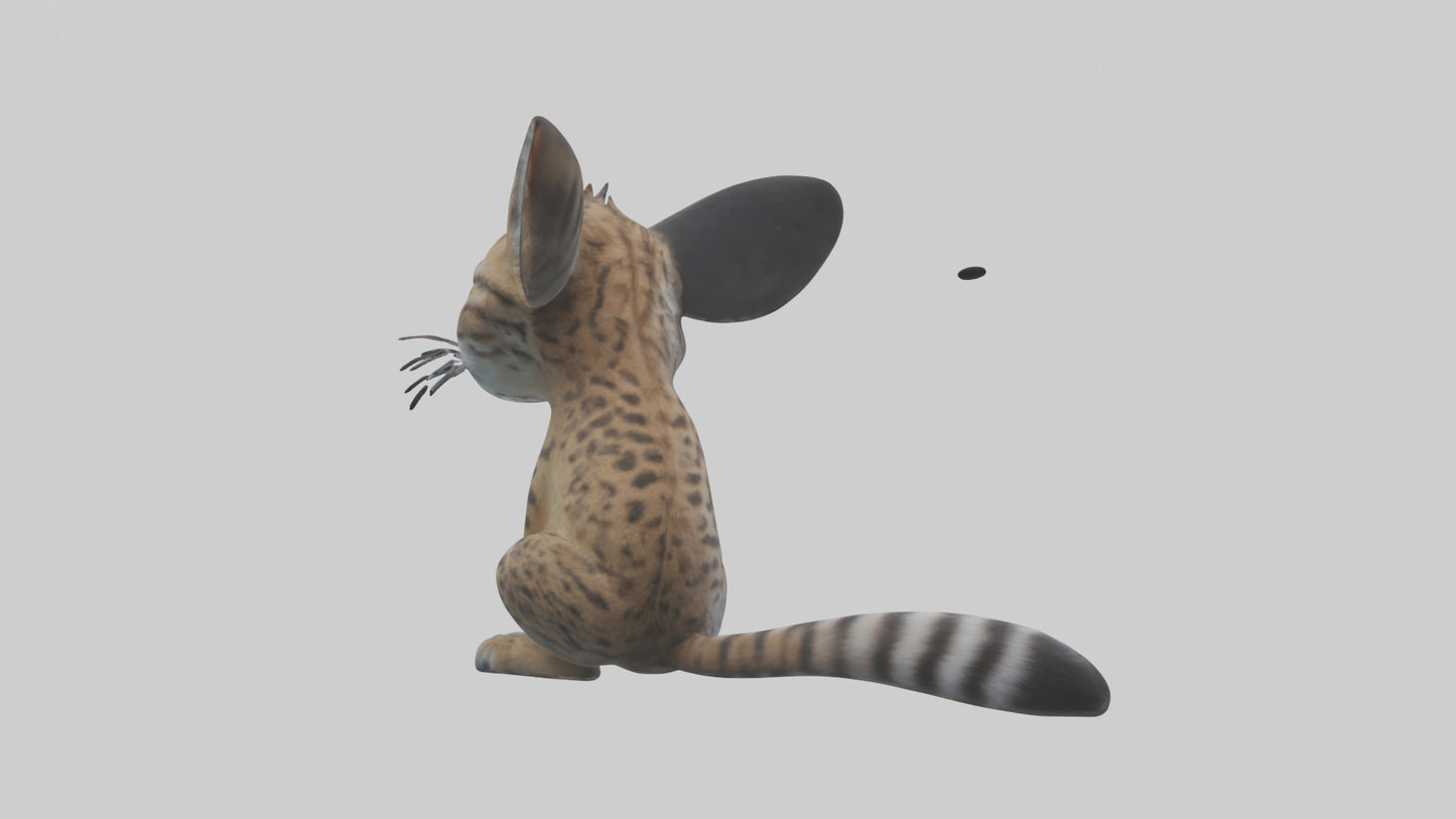 Iriomote Wildcat sitting model VR / AR / low-poly