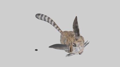 Iriomote Wildcat sitting model VR / AR / low-poly