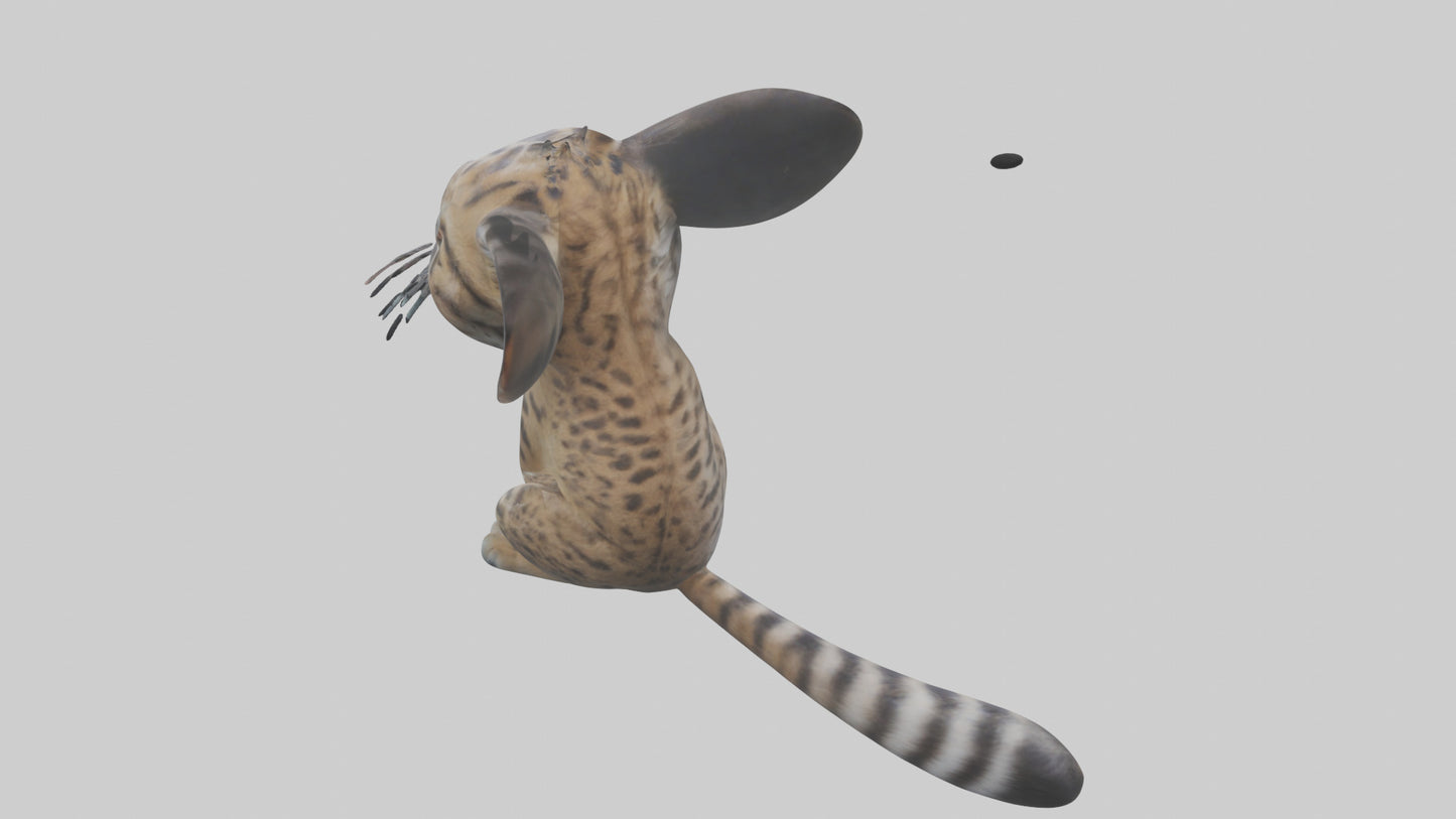 Iriomote Wildcat sitting model VR / AR / low-poly
