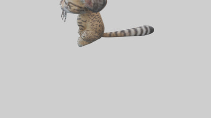 Iriomote Wildcat sitting model VR / AR / low-poly