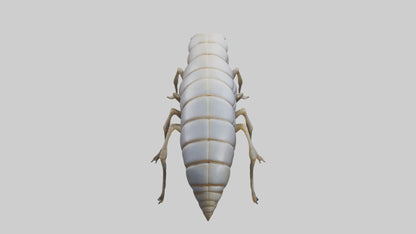 Isopod walking model VR / AR / low-poly