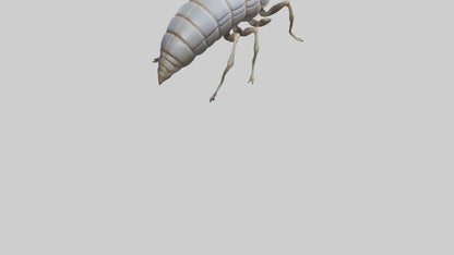 Isopod walking model VR / AR / low-poly