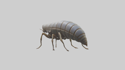 Isopod walking model VR / AR / low-poly