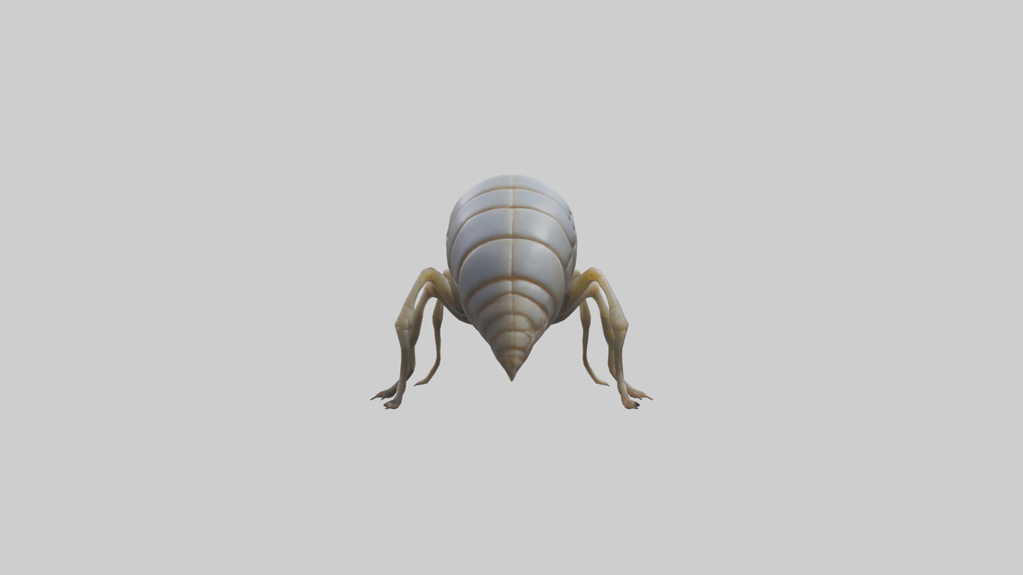 Isopod walking model VR / AR / low-poly