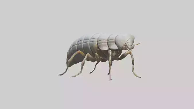 Isopod walking model VR / AR / low-poly