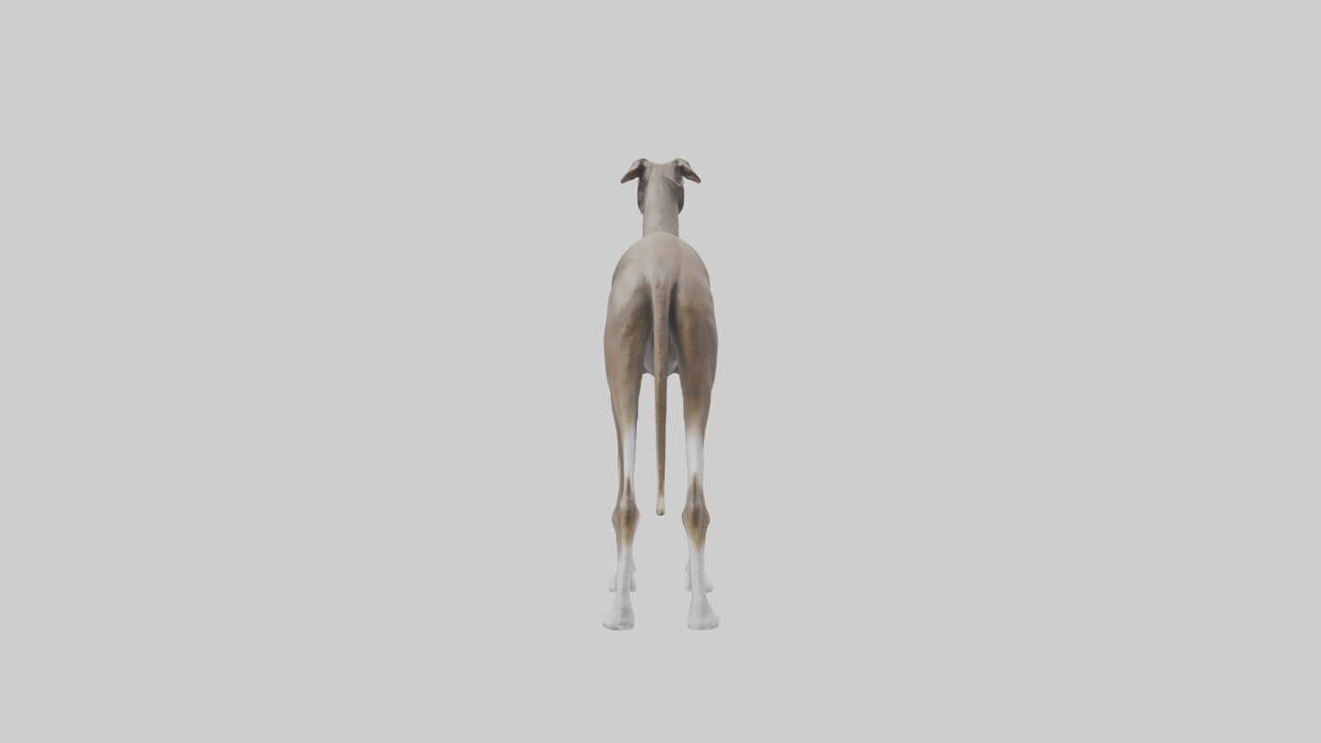 Italian Greyhound statue model VR / AR / low-poly