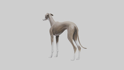 Italian Greyhound statue model VR / AR / low-poly