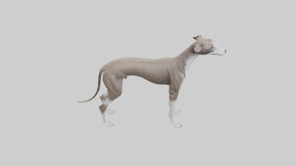 Italian Greyhound statue model VR / AR / low-poly