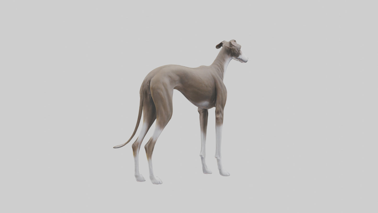 Italian Greyhound statue model VR / AR / low-poly