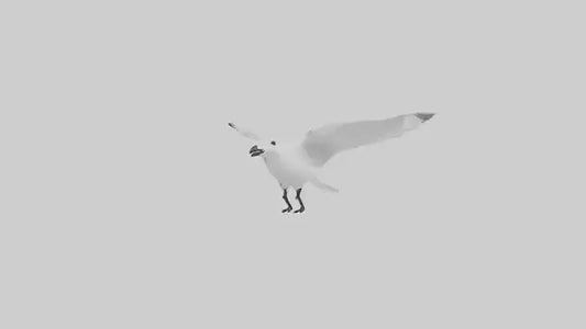 Ivory Gull flying model VR / AR / low-poly