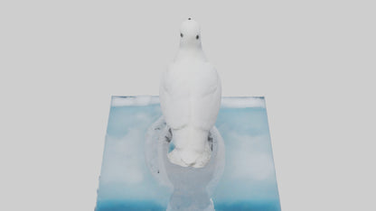 3D model Ivory Gull perched on ice model VR / AR / low-poly