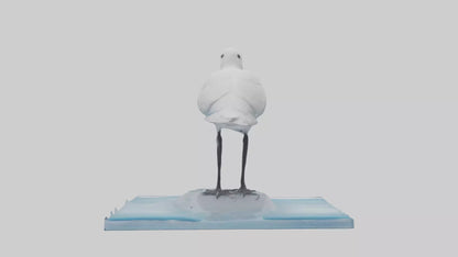 3D model Ivory Gull perched on ice model VR / AR / low-poly