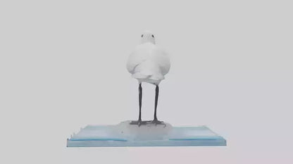 3D model Ivory Gull perched on ice model VR / AR / low-poly