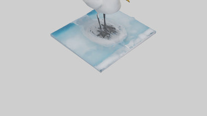 3D model Ivory Gull perched on ice model VR / AR / low-poly