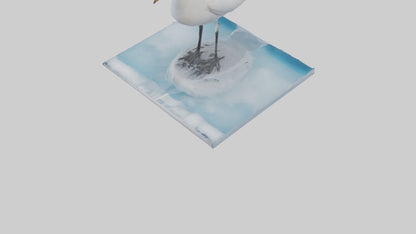 3D model Ivory Gull perched on ice model VR / AR / low-poly
