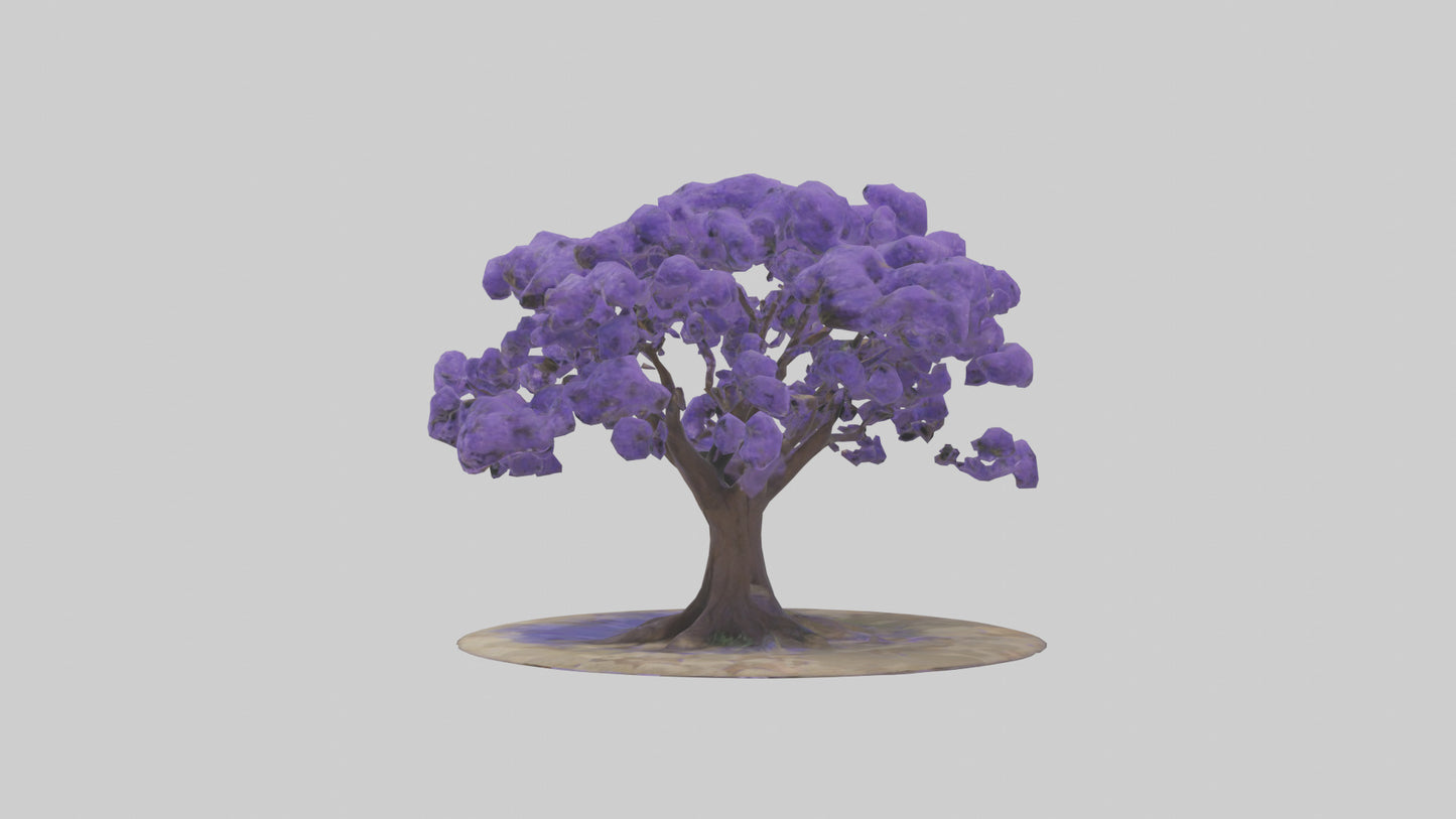 3D model Jacaranda tree model VR / AR / low-poly