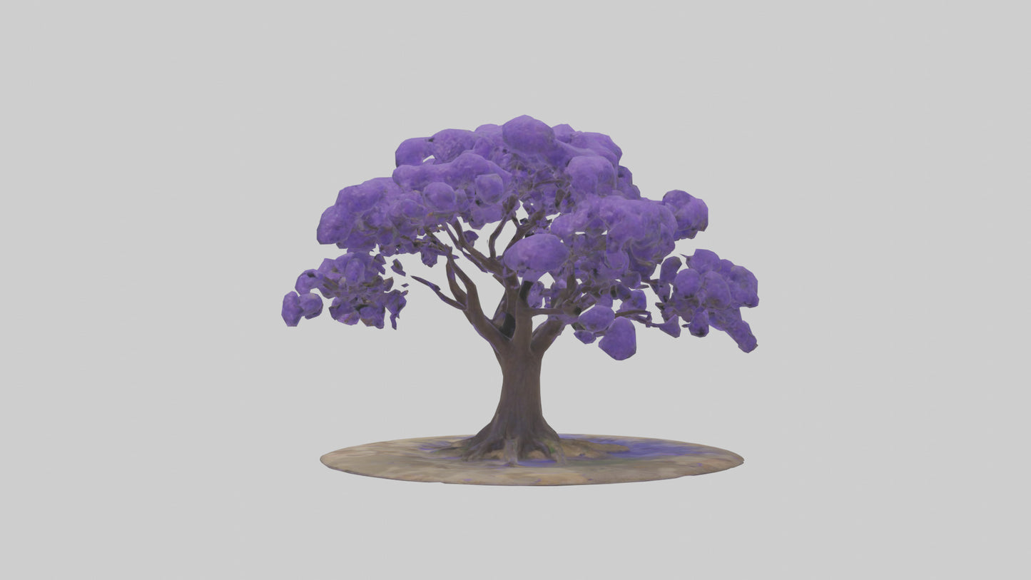 3D model Jacaranda tree model VR / AR / low-poly