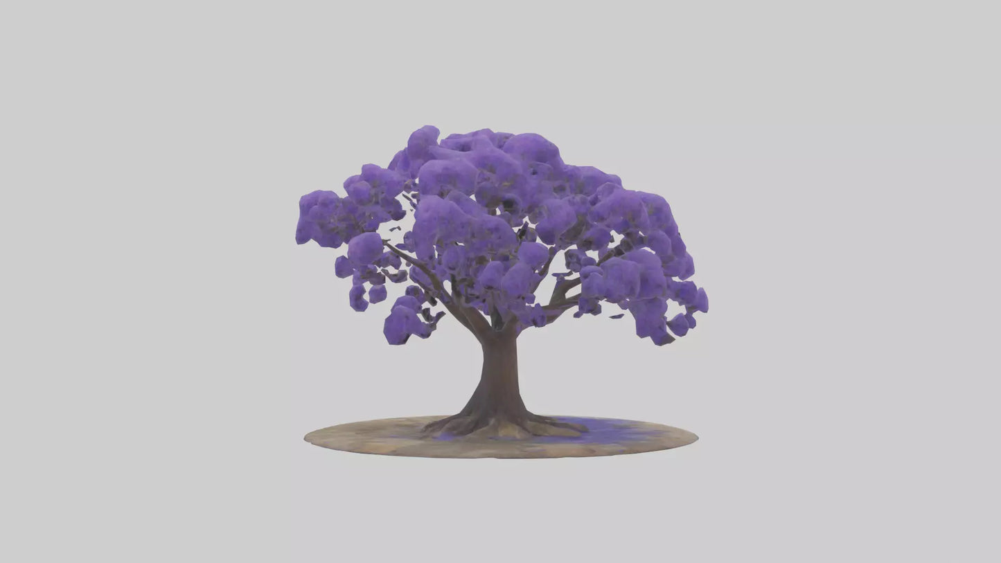 3D model Jacaranda tree model VR / AR / low-poly