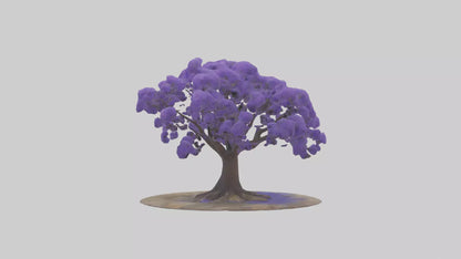 3D model Jacaranda tree model VR / AR / low-poly