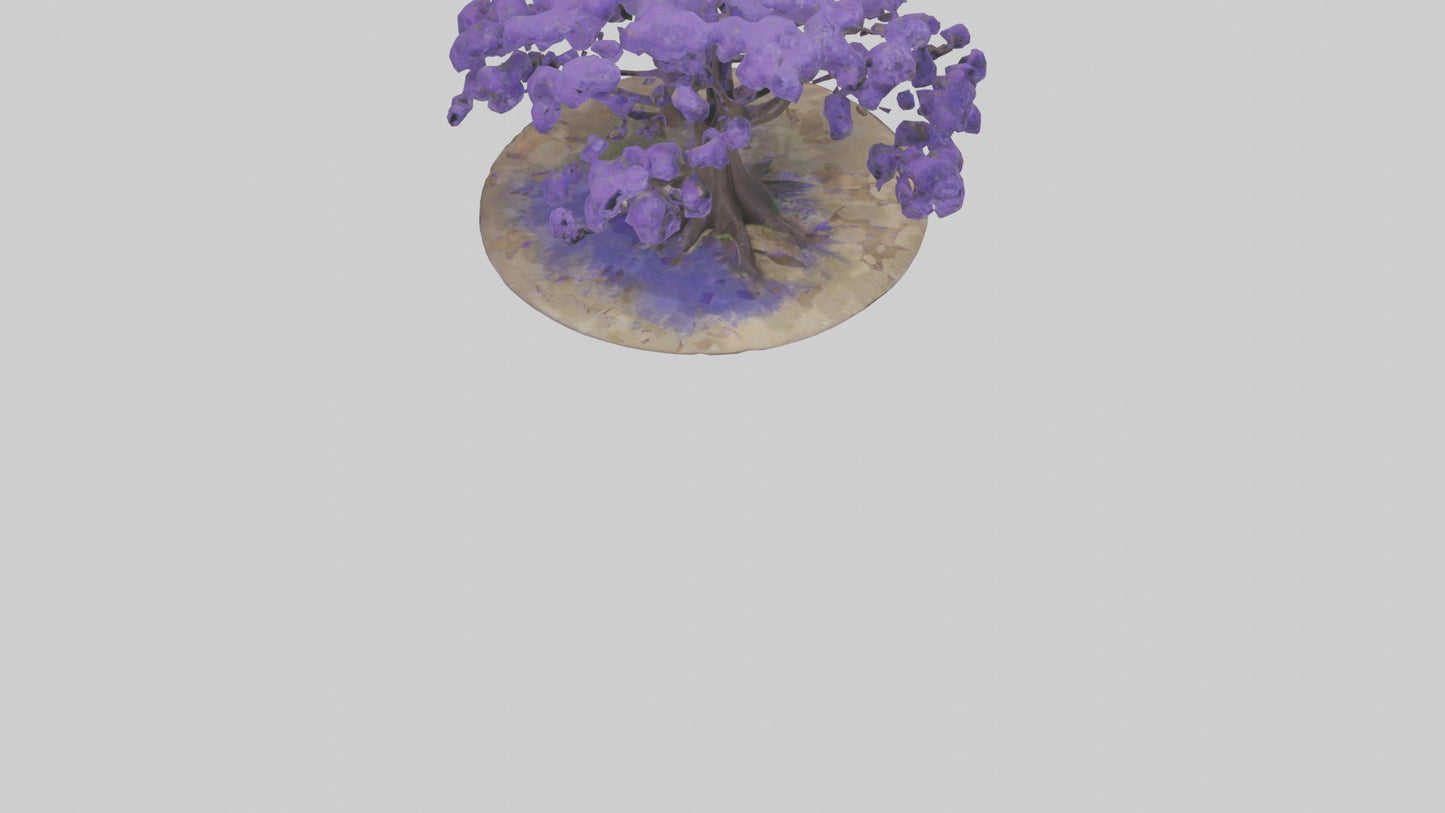 3D model Jacaranda tree model VR / AR / low-poly