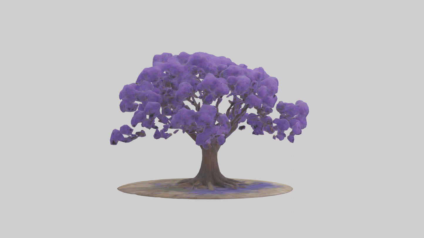 3D model Jacaranda tree model VR / AR / low-poly
