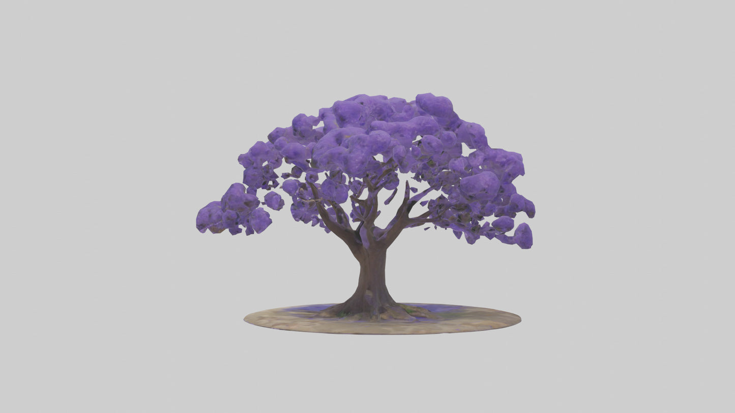 3D model Jacaranda tree model VR / AR / low-poly