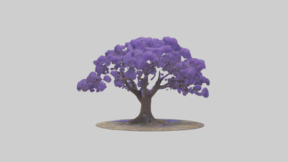 3D model Jacaranda tree model VR / AR / low-poly