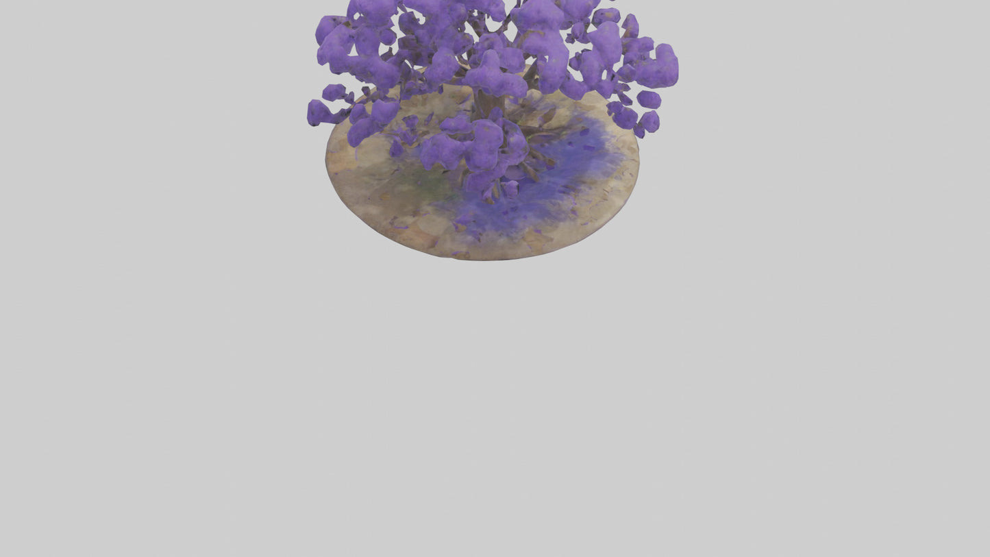 3D model Jacaranda tree model VR / AR / low-poly