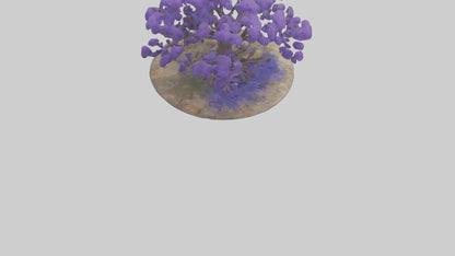 3D model Jacaranda tree model VR / AR / low-poly
