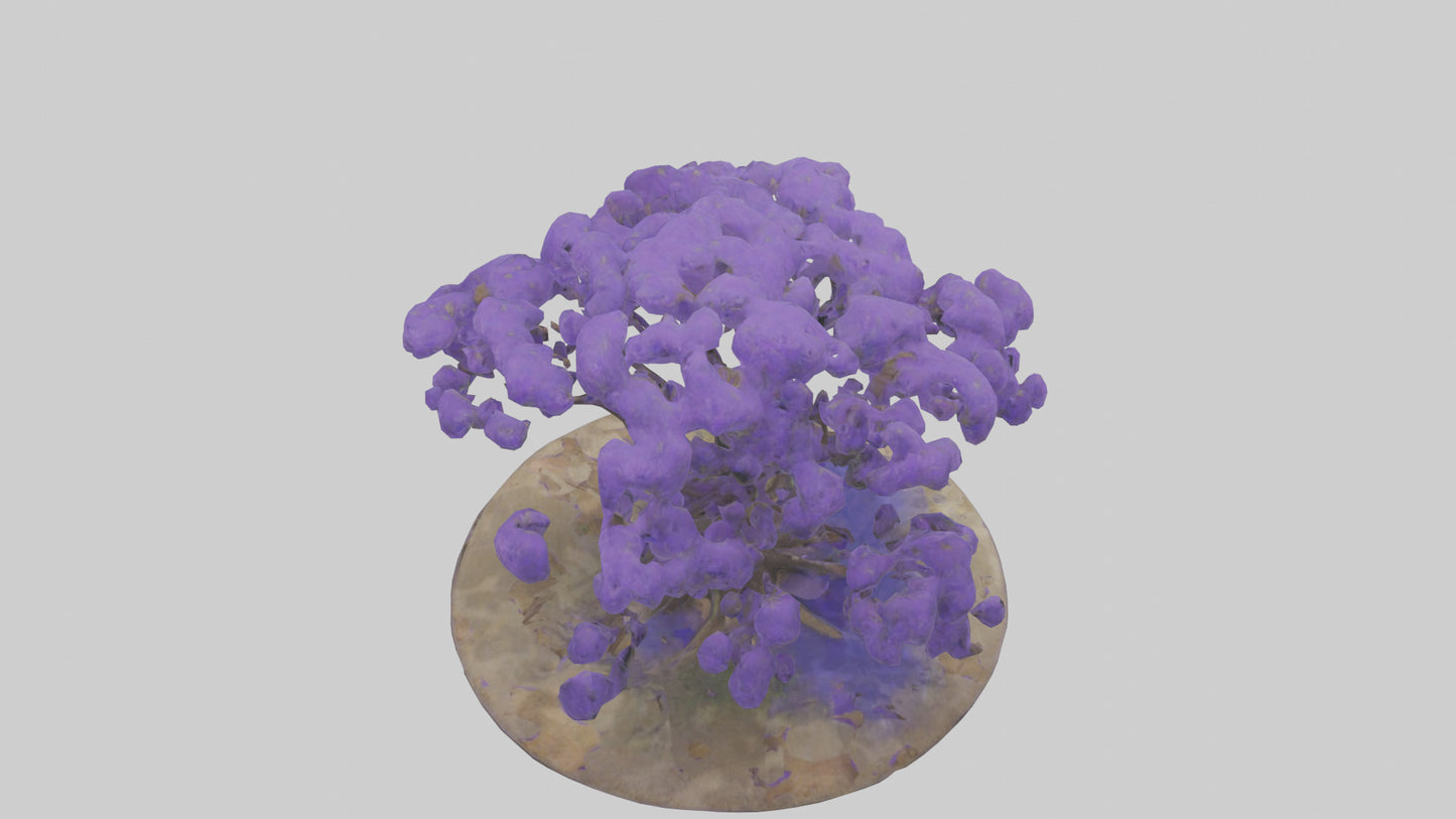 3D model Jacaranda tree model VR / AR / low-poly