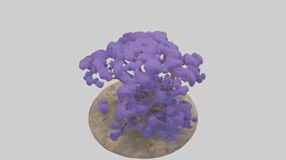 3D model Jacaranda tree model VR / AR / low-poly