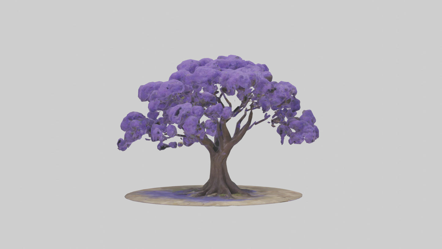 3D model Jacaranda tree model VR / AR / low-poly