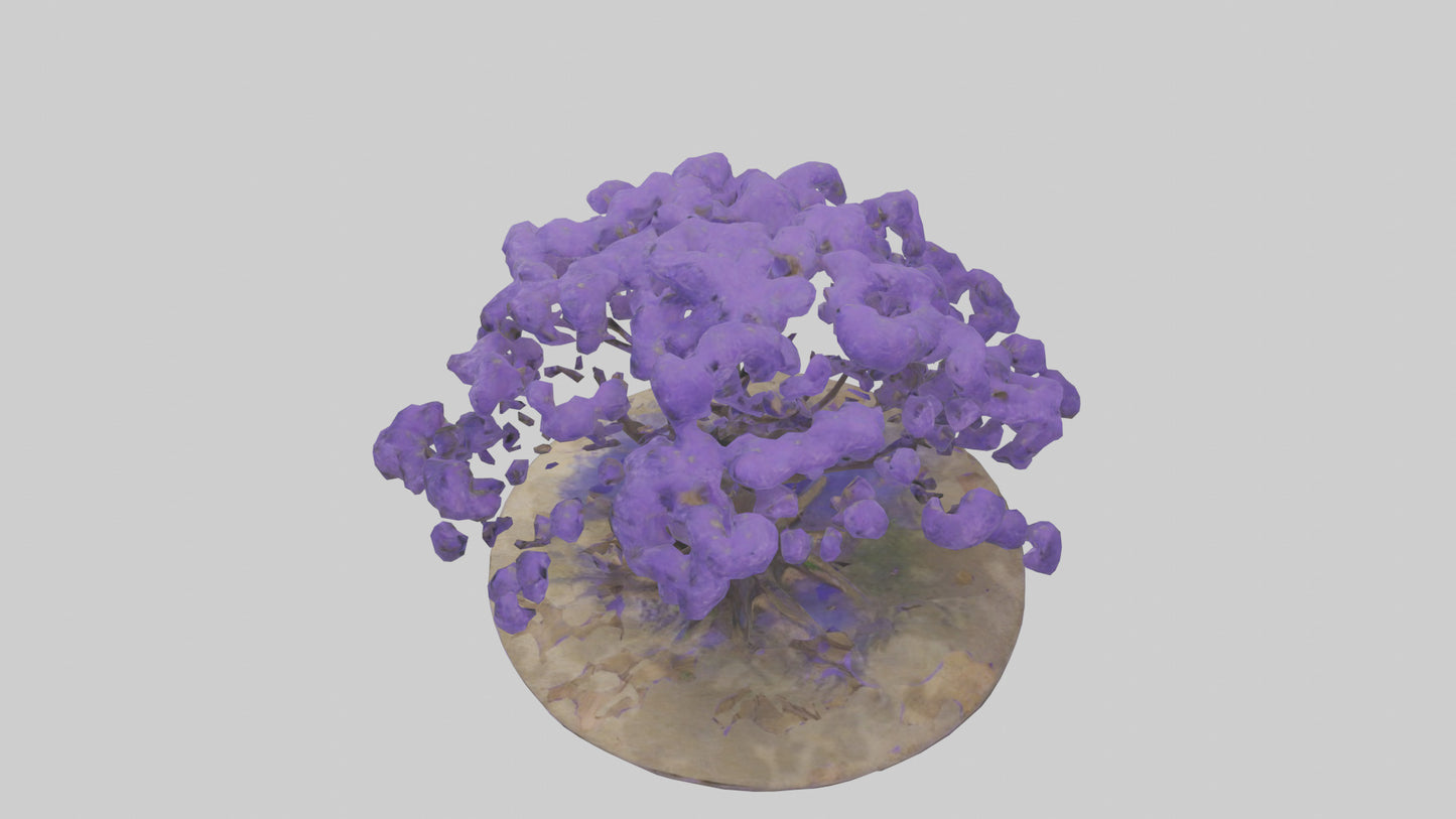 3D model Jacaranda tree model VR / AR / low-poly