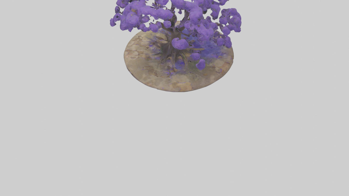 3D model Jacaranda tree model VR / AR / low-poly