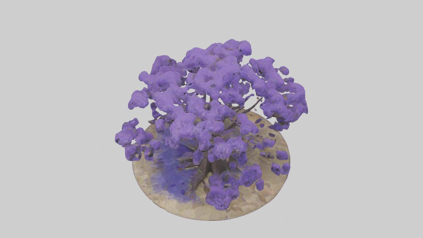 3D model Jacaranda tree model VR / AR / low-poly