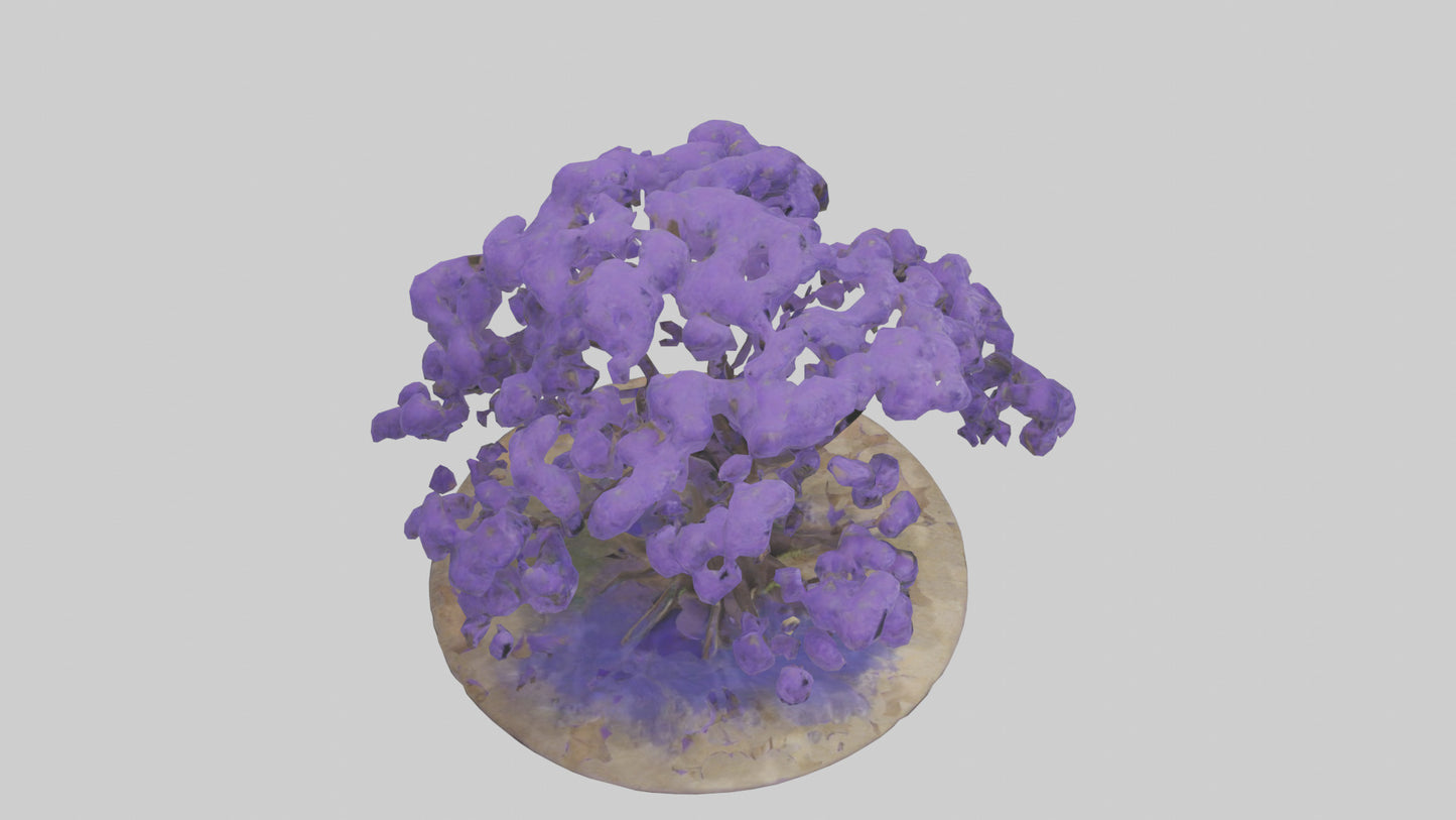 3D model Jacaranda tree model VR / AR / low-poly
