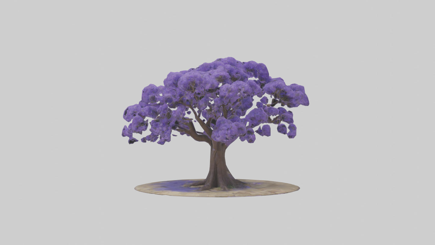 3D model Jacaranda tree model VR / AR / low-poly