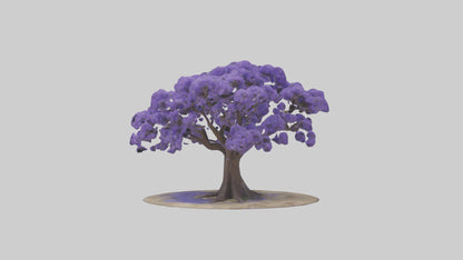 3D model Jacaranda tree model VR / AR / low-poly